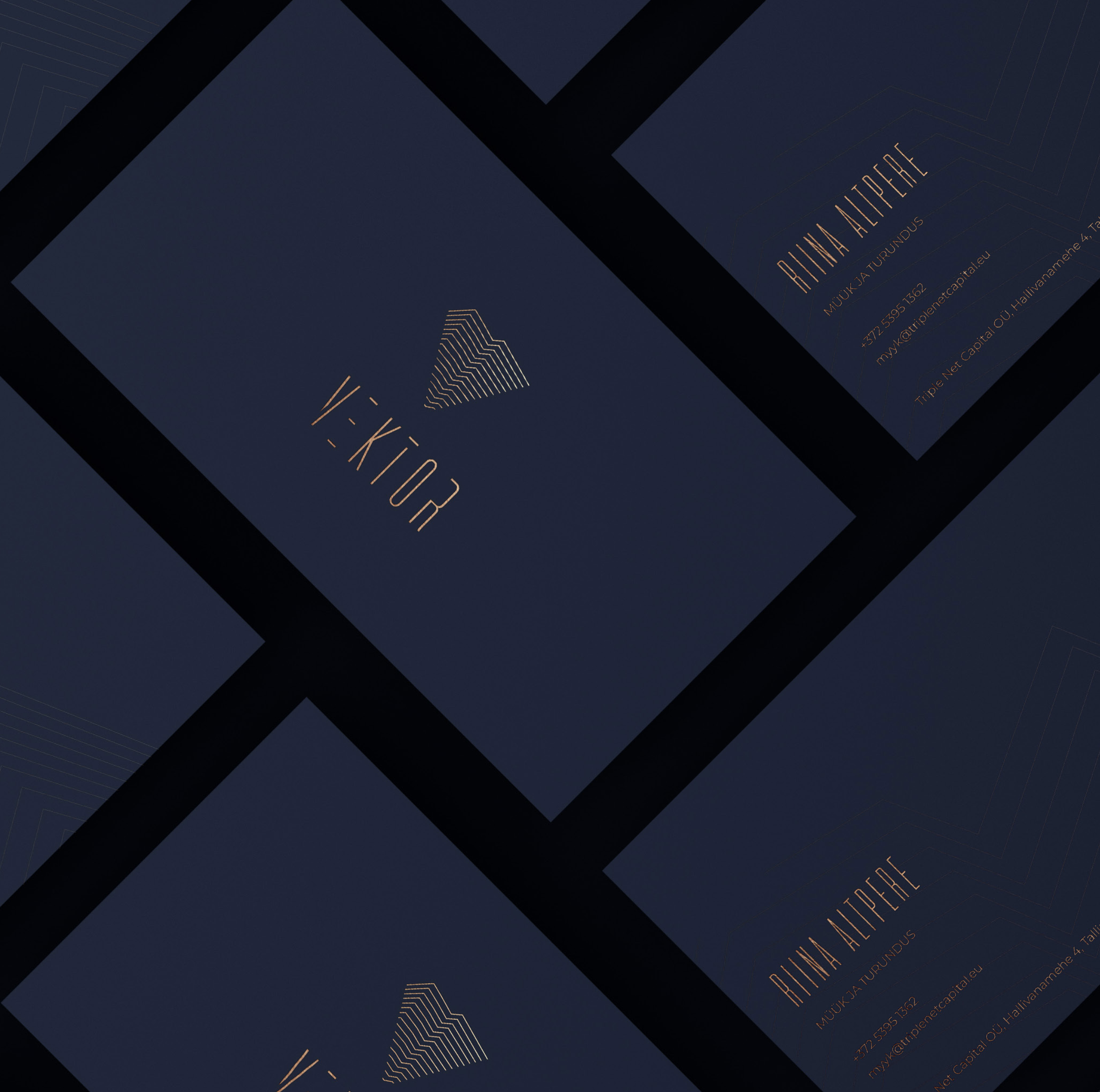 Vektor